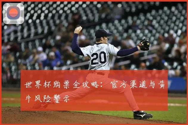 世界杯购票全攻略:官方渠道与黄牛风险警示