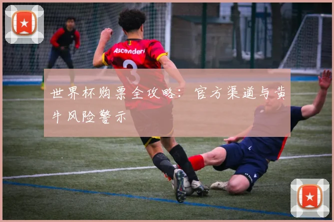 世界杯购票全攻略:官方渠道与黄牛风险警示
