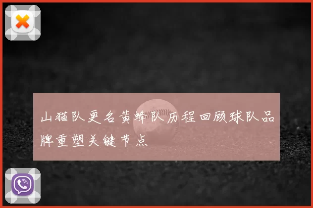 山猫队更名黄蜂队历程回顾球队品牌重塑关键节点