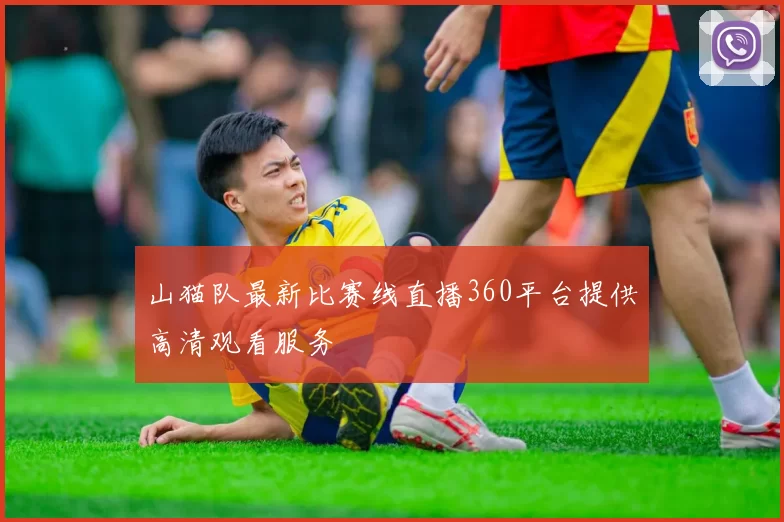 山猫队最新比赛线直播360平台提供高清观看服务