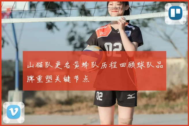 山猫队更名黄蜂队历程回顾球队品牌重塑关键节点